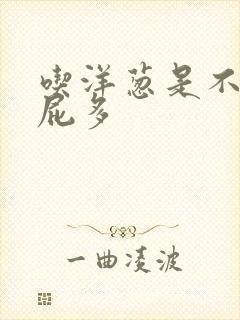 吃洋葱是不是放屁多