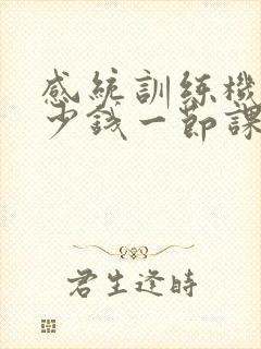 感统训练机构多少钱一节课