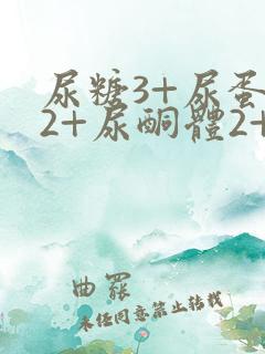 尿糖3+尿蛋白2+尿酮体2+