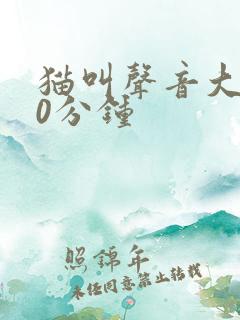 猫叫声音大全40分钟