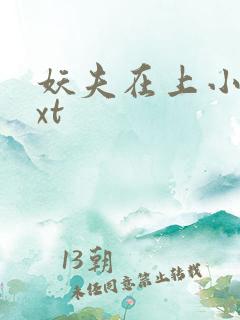 妖夫在上小说txt