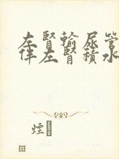 左肾输尿管结石伴左肾积水