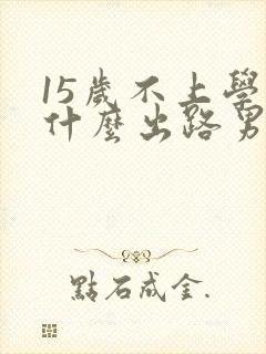 15岁不上学有什么出路男孩