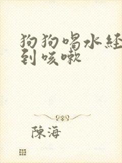 狗狗喝水经常呛到咳嗽