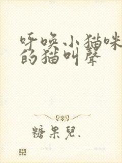 呼唤小猫咪出来的猫叫声