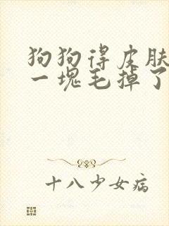 狗狗得皮肤病有一块毛掉了