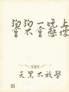 狗狗一晚上不尿会不会憋坏了