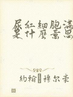 尿红细胞满视野是什么意思