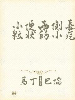 小便两侧长了颗粒状的小疙瘩