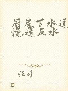 厨房下水道下水慢,还反水