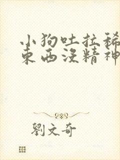 小狗吐拉稀不吃东西没精神怎么办