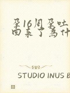 孕16周孕吐又回来了为什么