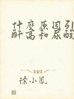 什么原因引起肌酐高和尿酸高