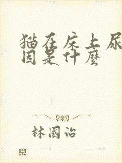 猫在床上尿的原因是什么