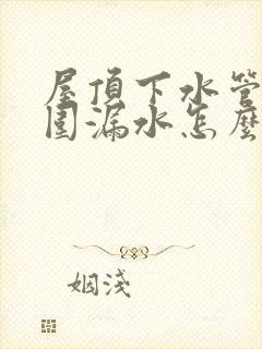 屋顶下水管道周围漏水怎么办