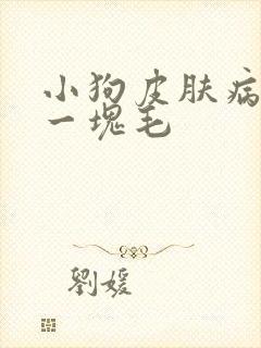 小狗皮肤病掉了一块毛