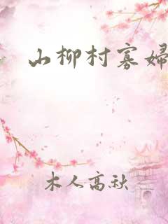 山柳村寡妇情史