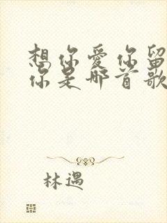 想你爱你留不住你是哪首歌