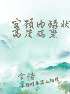 宫颈内鳞状上皮高度病变