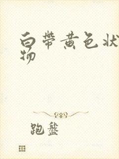 白带黄色状分泌物