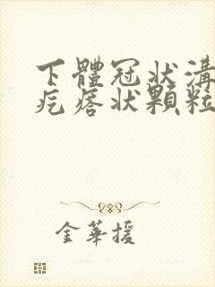 下体冠状沟长肉疙瘩状颗粒