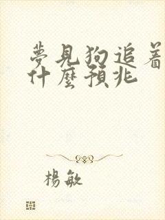 梦见狗追着我是什么预兆