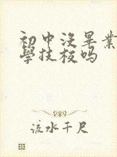 初中没毕业可以学技校吗