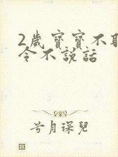 2岁宝宝不听指令不说话