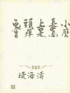 龟头上长小红点会痒是怎么回事