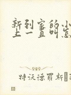 新到家的小狗晚上一直叫怎么办