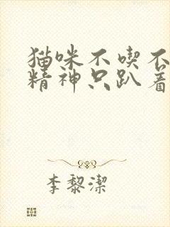 猫咪不吃不喝没精神只趴着还吐