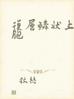 复层鳞状上皮细胞