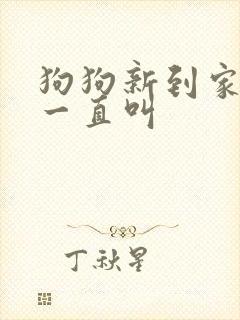 狗狗新到家晚上一直叫