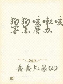 狗狗咳嗽咳痰厉害怎么办