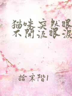 猫咪突然眼睛睁不开流眼泪怎么回事