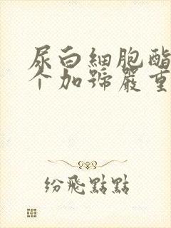 尿白细胞酯酶2个加号严重吗