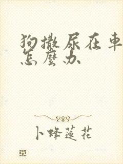 狗撒尿在车轮胎怎么办