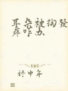 耳朵被掏发炎了疼咋办