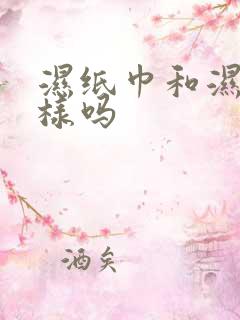 湿纸巾和湿巾一样吗