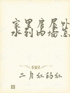 家里房屋外墙渗水到内墙怎么办