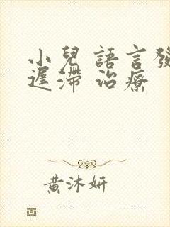 小儿 语言发育迟滞 治疗