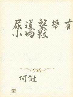 尿道系带有白色小肉粒