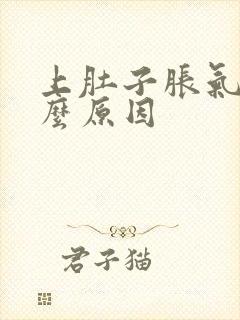 上肚子胀气是什么原因