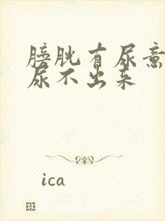 膀胱有尿意但是尿不出来