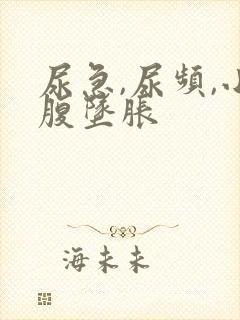 尿急,尿频,小腹坠胀