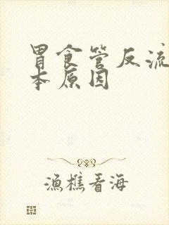 胃食管反流的根本原因