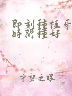 即刻种植牙多长时间种好