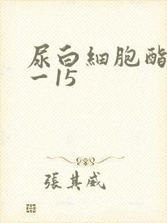 尿白细胞酯酶十一15