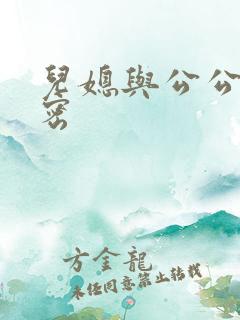 儿媳与公公的秘密