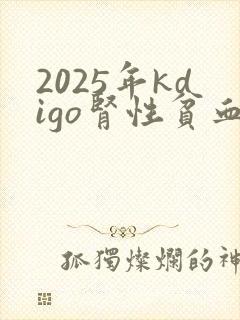 2025年kdigo肾性贫血指南